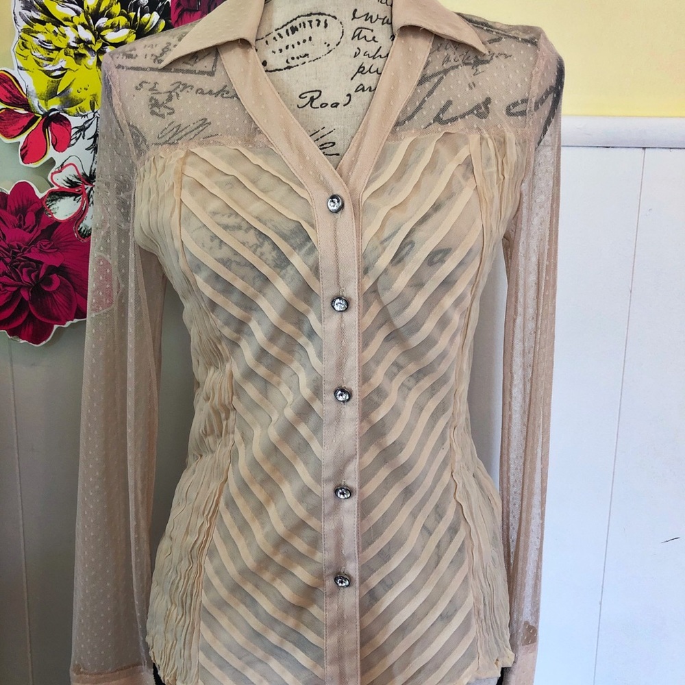 Kaelyn Max Button front blouse